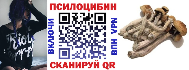 Галлюциногенные грибы Cubensis  сколько стоит  Дмитриев 